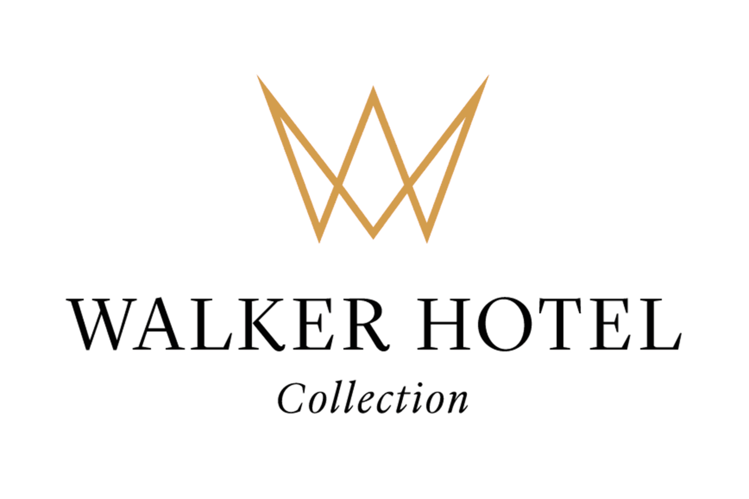 Logo 7